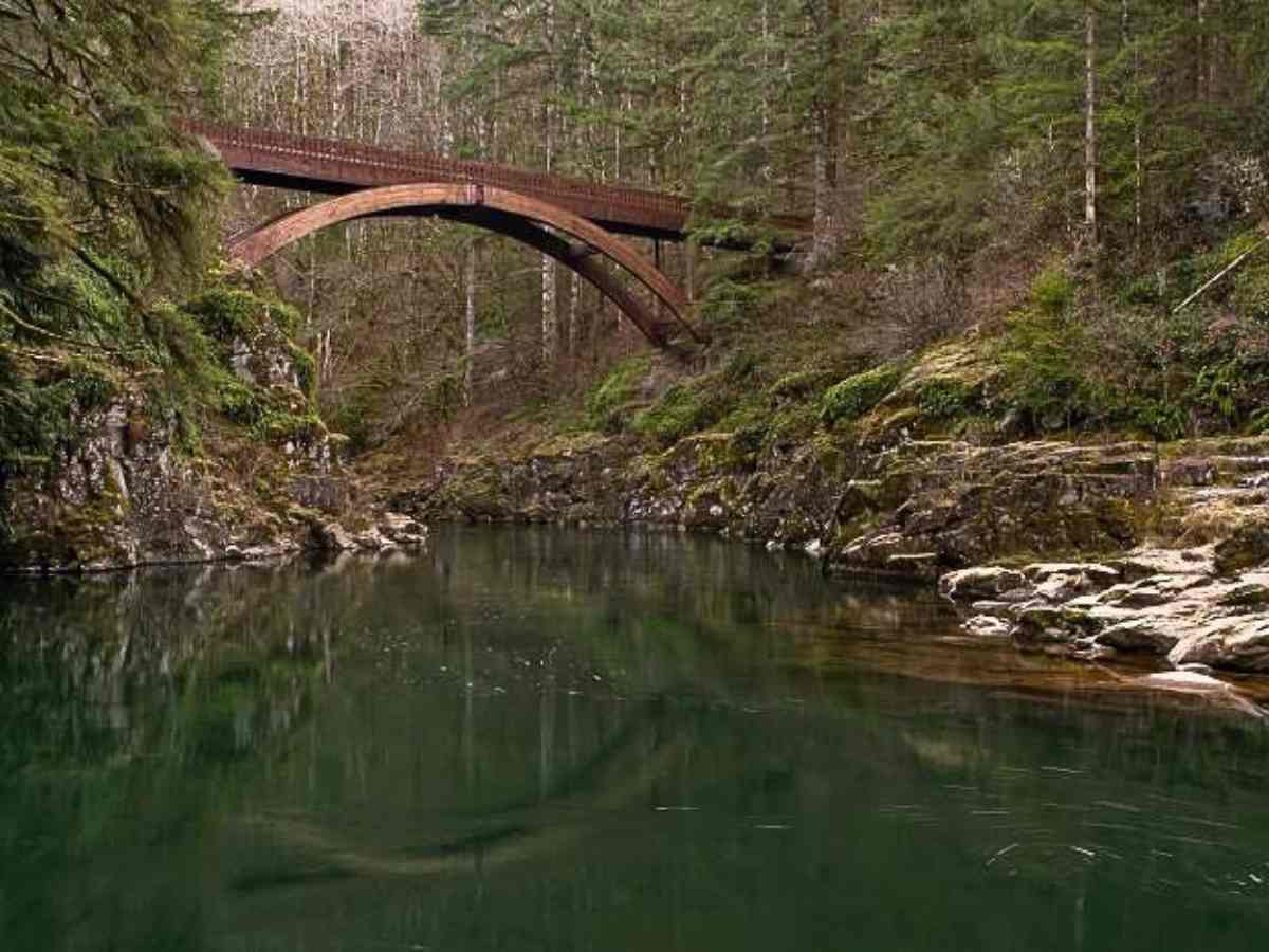 Bridge going over river in the pine woods of Battle Ground, Washington.