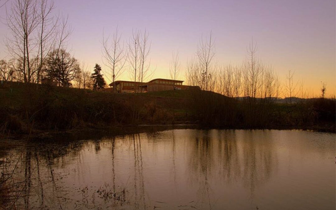 Sherwood