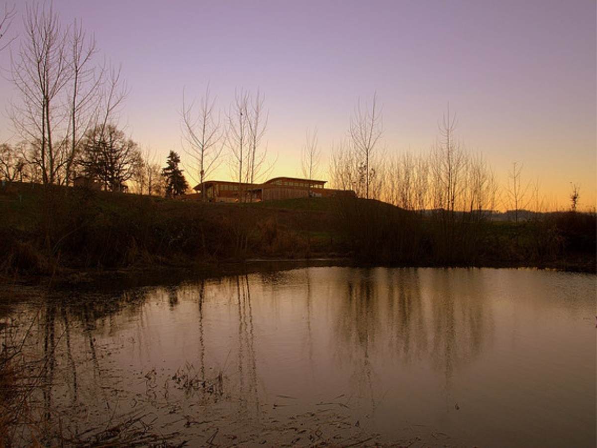 Image of a lake with a slight hill in the background with silhouette of winter trees with no leaves and a building for article Sherwood for newcomers moving to Portland.