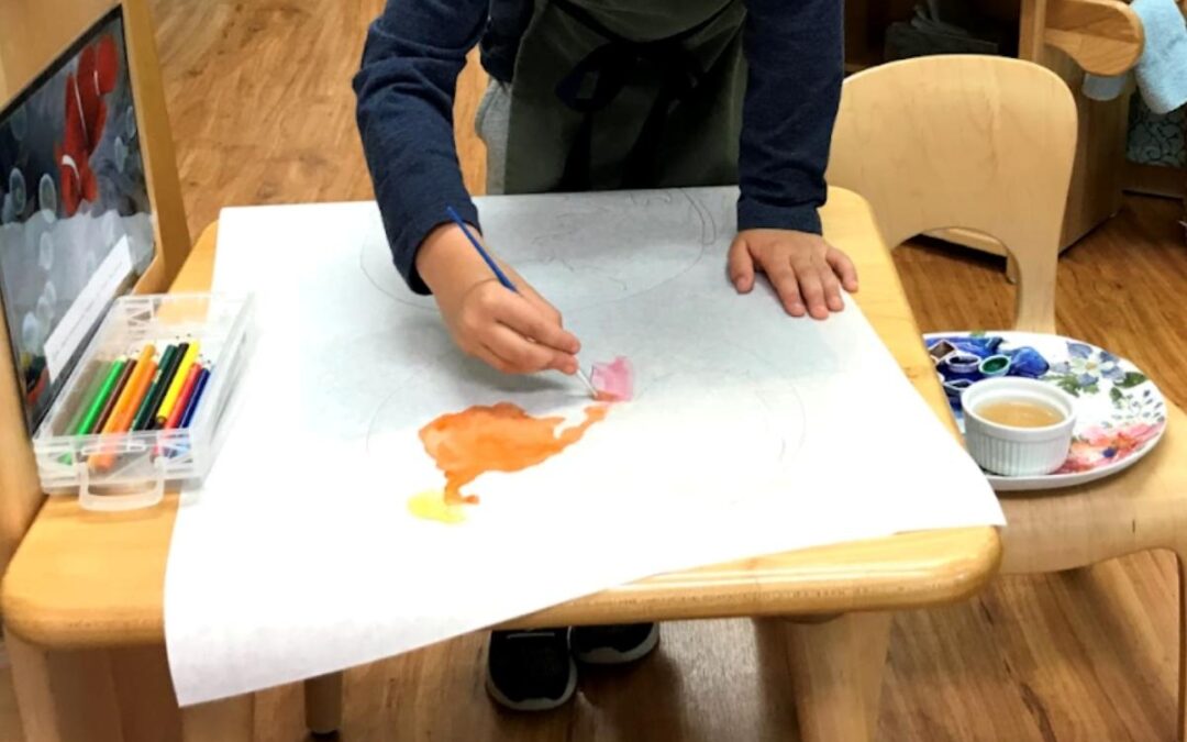 West Hills Montessori Elementary