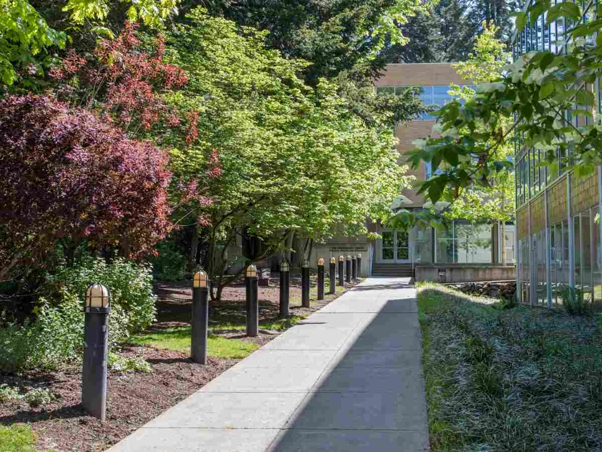Outdoor sidewalk leading up to school with trees all around for article Oregon Episcopal School (OES) for newcomers moving to Portland.