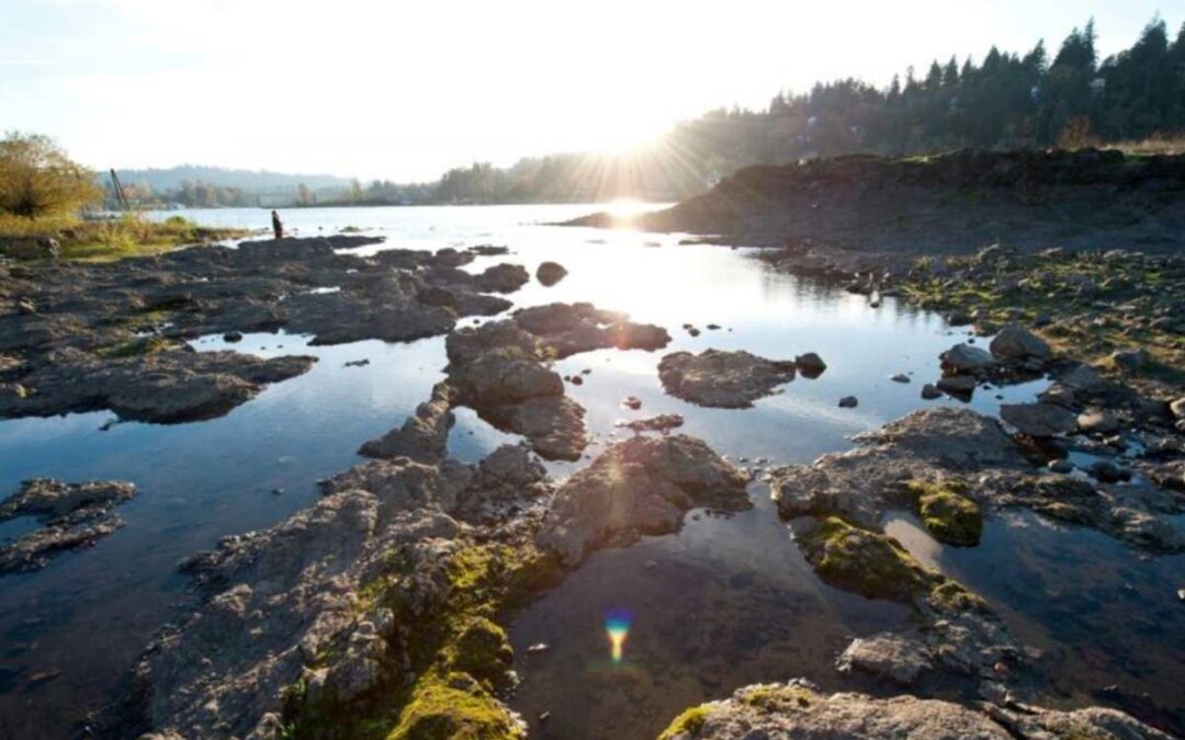 Portland Waldorf School