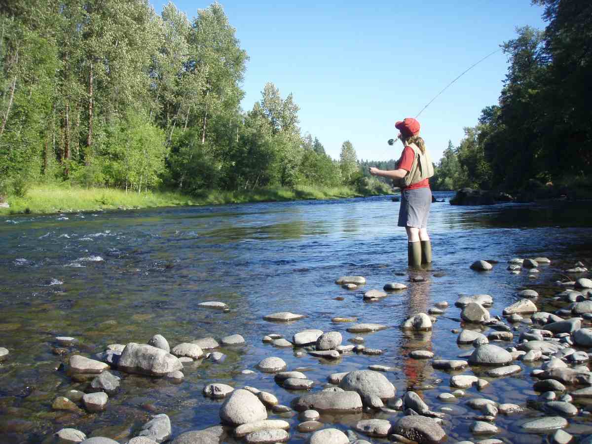 Young person fishing in shallow river with rocks and pine tree covered banks for article Molalla, Oregon for newcomers moving to Portland.