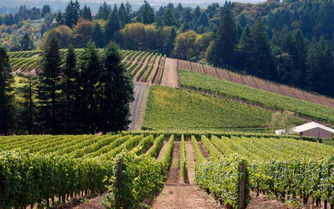 Newberg, Oregon