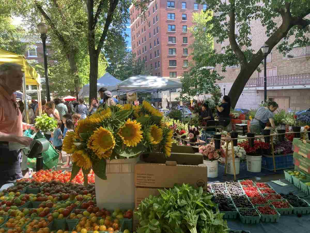Bucket of sunflowers in center of Portland Farmers Market table with fresh produce on it for article So Much to Do, See, and Eat in Portland for newcomers moving to Portland.