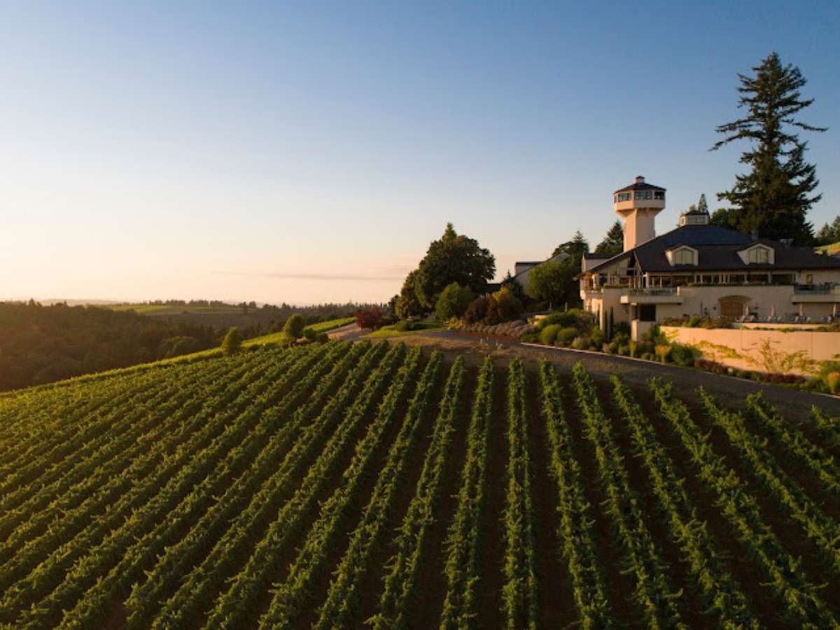 Williamette Valley Vineyard land and building for article Building a Dream in the Willamette Valley for newcomers moving to Portland.