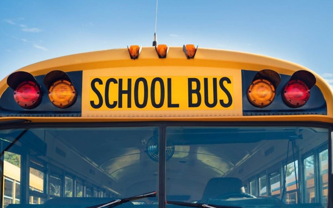Public School Districts