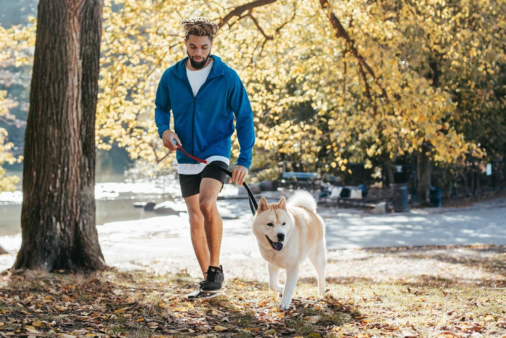 Man walking dog in park