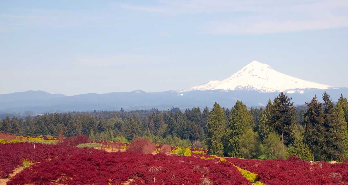 Damascus, Oregon