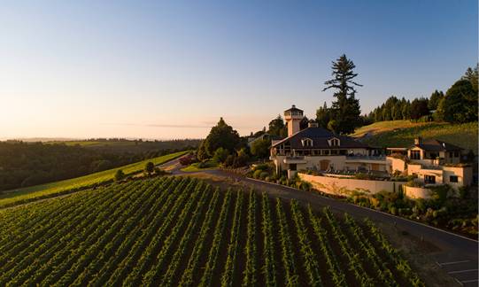 Building a Dream in the Willamette Valley