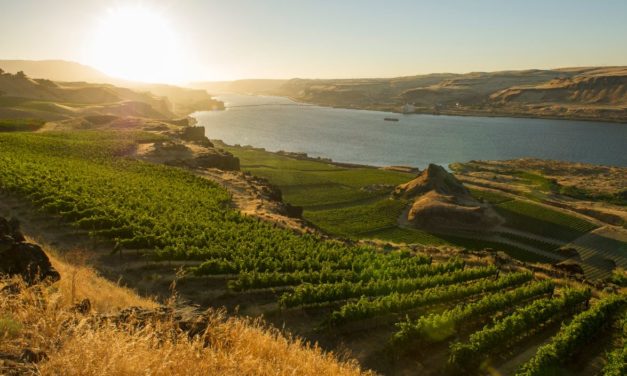 Maryhill Winery: A Washington Winner