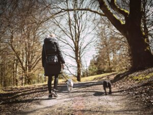 woman in a black jacket is walking two dogs through trees on a trail in the daytime